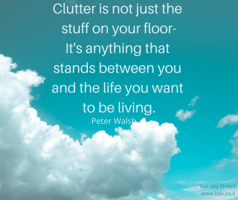 Clutter-is-not-just-the-stuLisa-Z